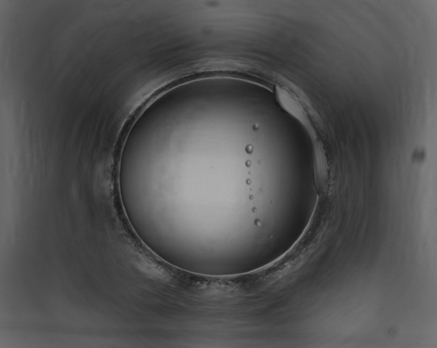 X0000090420786200707131208