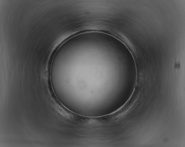 X0000090420787200707131208