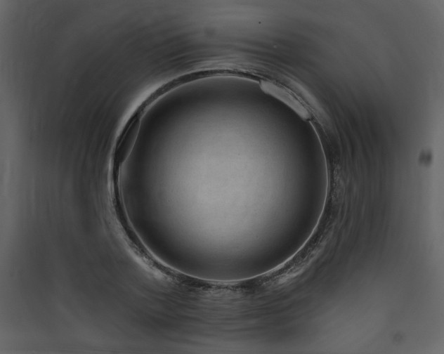 X0000090420788200707131208