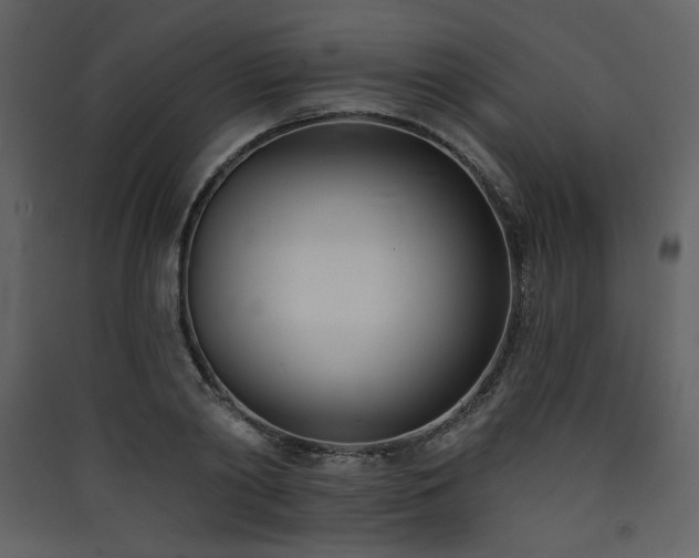 X0000090420790200707131208