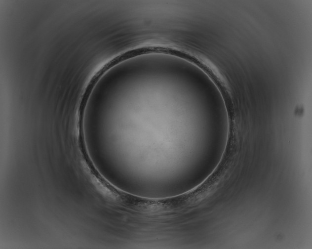 X0000090420791200707131208