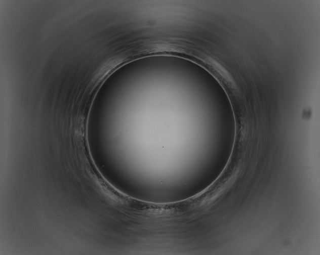 X0000090420793200707131208