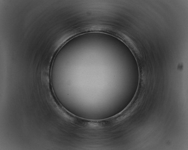 X0000090420794200707131208