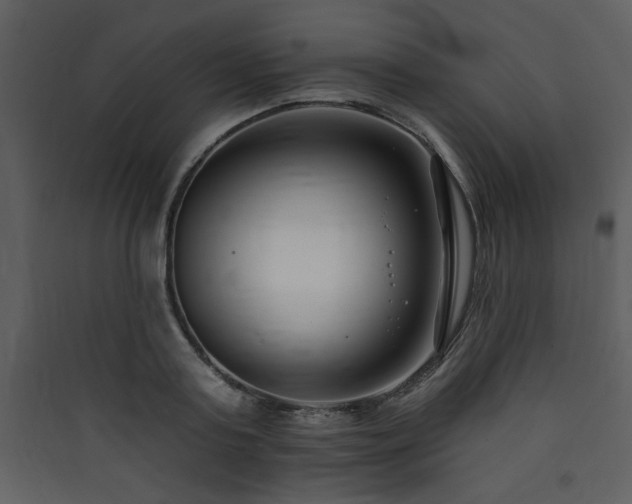 X0000090420795200707131208
