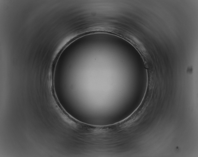 X0000090420796200707131208