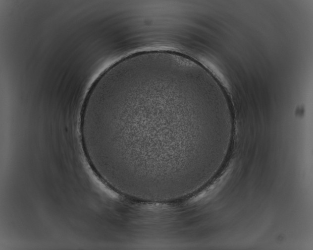 X0000090420797200707131208