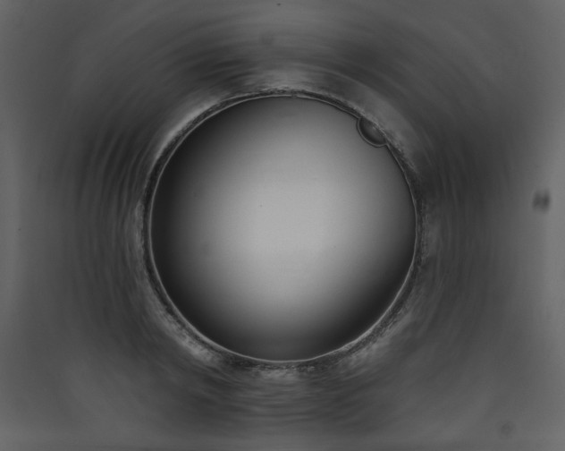 X0000090420798200707131208