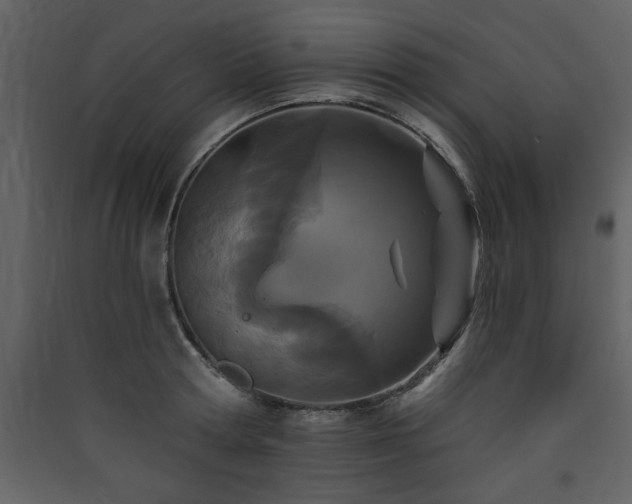 X0000090420802200707131208