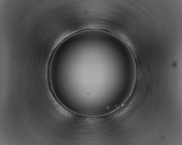 X0000090420803200707131208