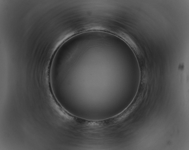 X0000090420806200707131207