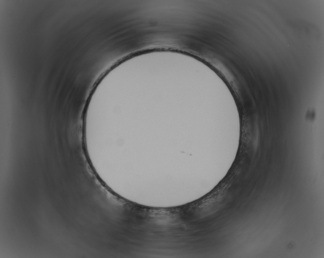 X0000090420807200707131207
