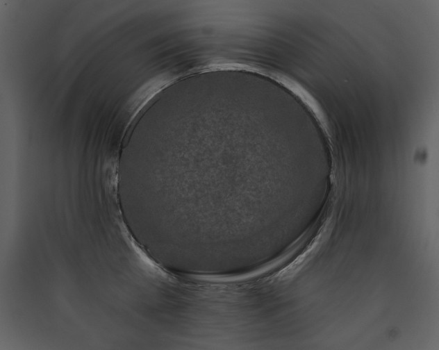 X0000090420809200707131207