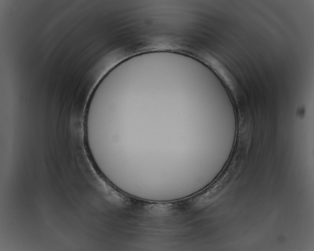 X0000090420810200707131207
