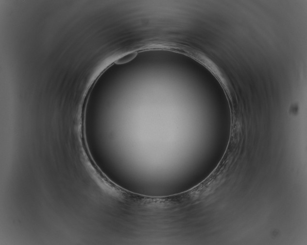 X0000090420811200707131207