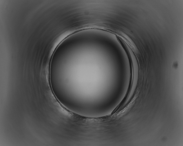 X0000090420812200707131207