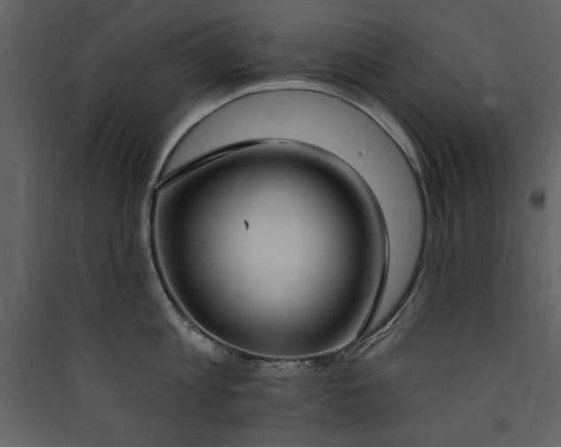 X0000090420813200707131207