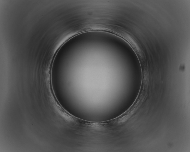 X0000090420814200707131207