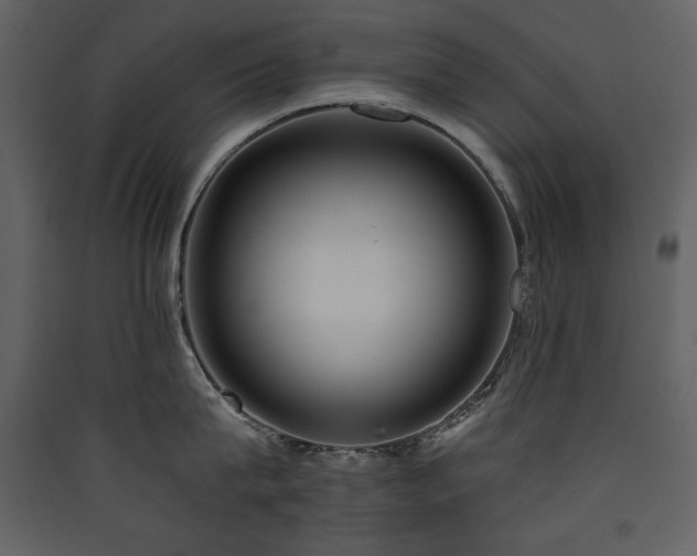 X0000090420815200707131207