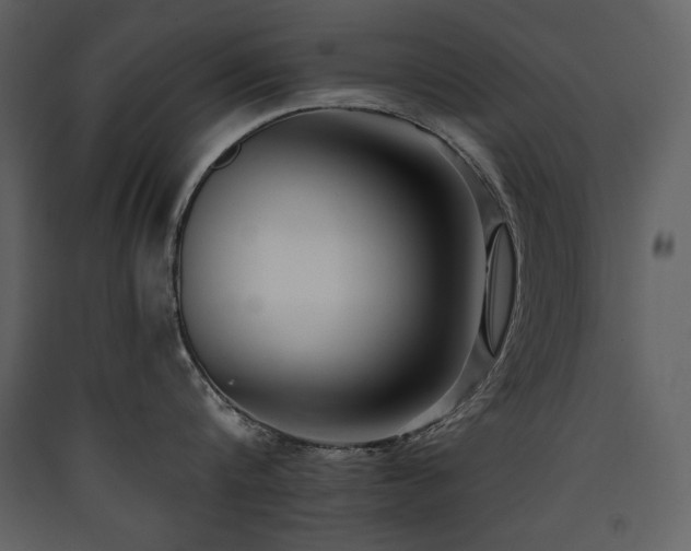 X0000090420816200707131207