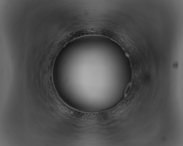 X0000090420817200707131207