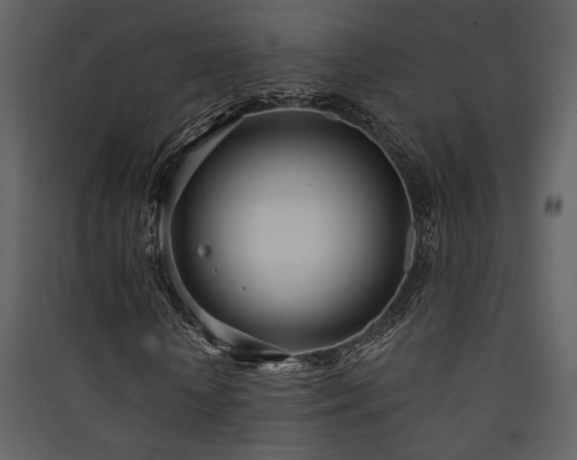 X0000090420818200707131207