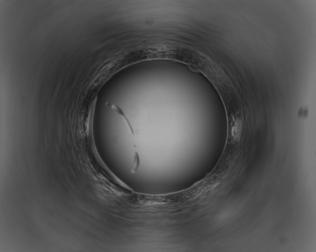 X0000090420819200707131207