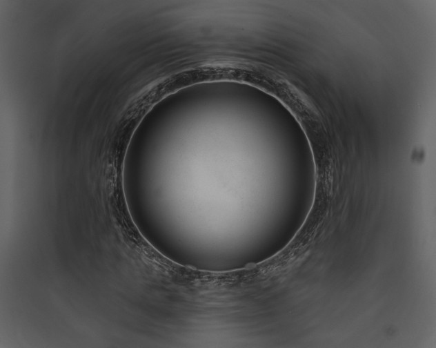 X0000090420821200707131207
