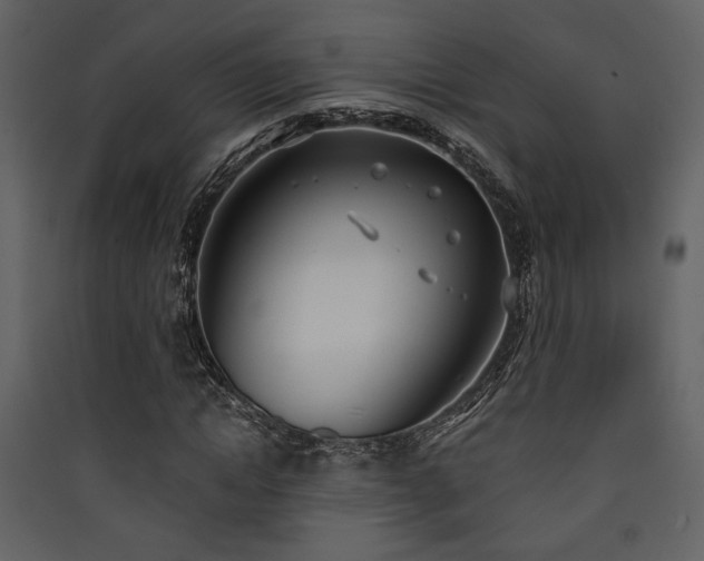 X0000090420822200707131207