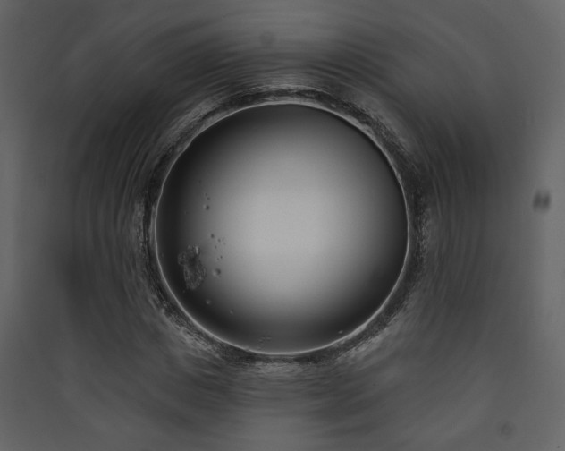 X0000090420825200707131207
