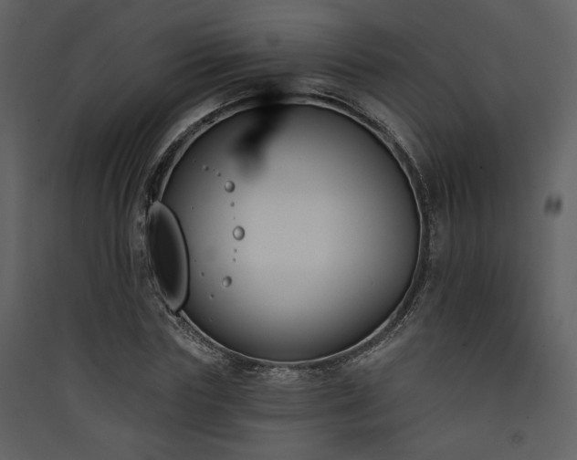 X0000090420827200707131207