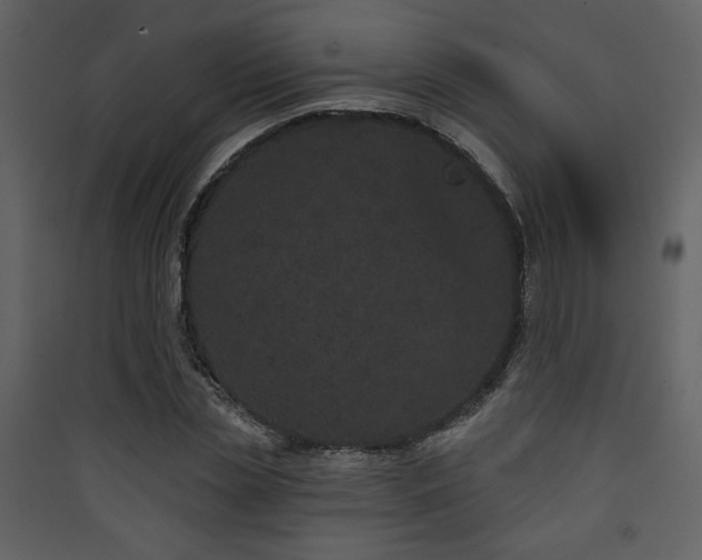 X0000090420829200707131207