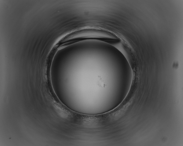 X0000090420830200707131207