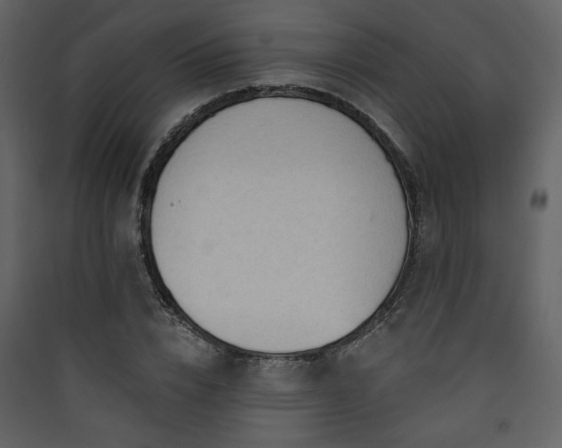 X0000090420832200707131207