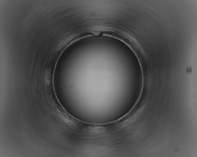 X0000090420833200707131207