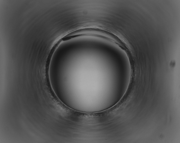 X0000090420834200707131207