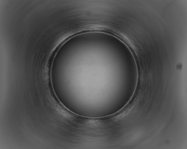 X0000090420835200707131207