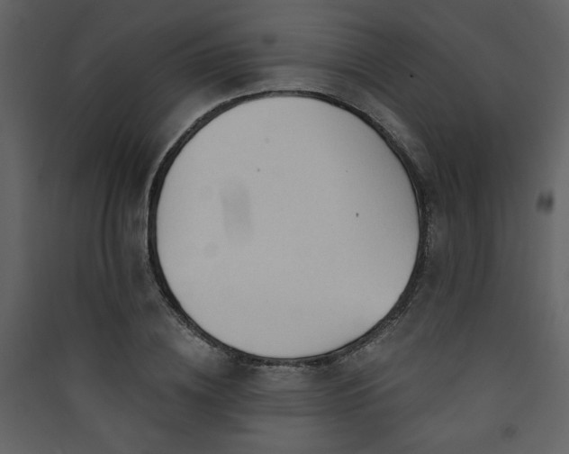 X0000090420836200707131207