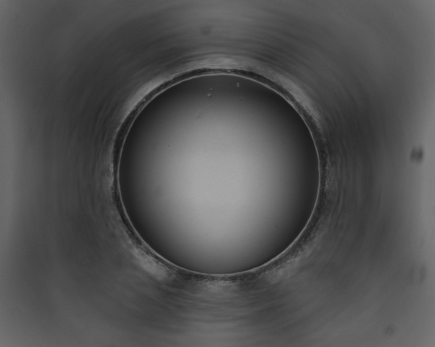 X0000090420837200707131207