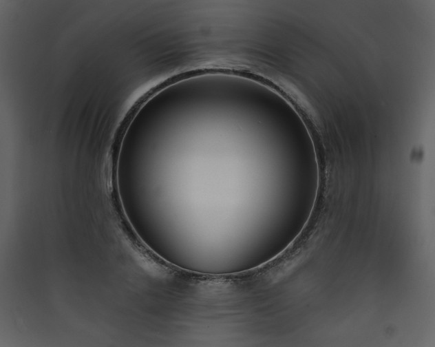 X0000090420838200707131207