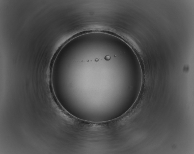 X0000090420839200707131207
