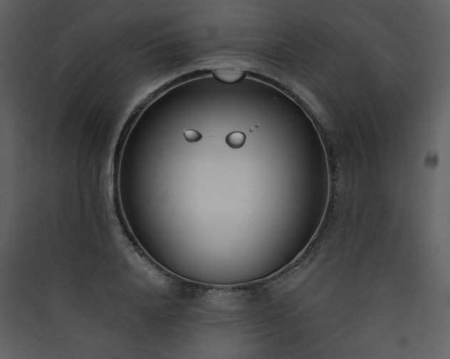 X0000090420840200707131207