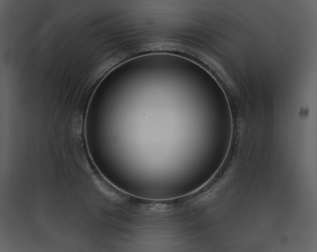 X0000090420841200707131207