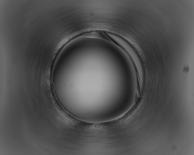 X0000090420842200707131207