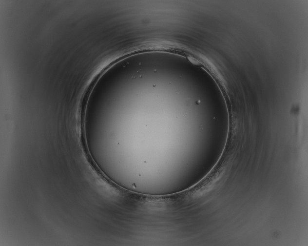 X0000090420843200707131207