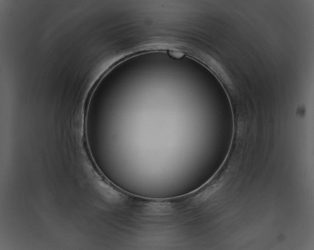 X0000090420844200707131207