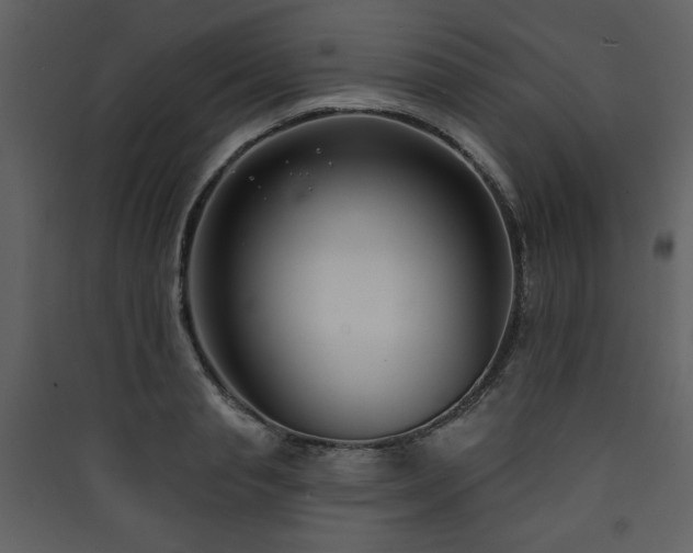 X0000090420845200707131207