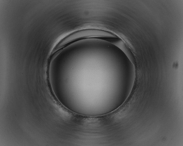 X0000090420846200707131207