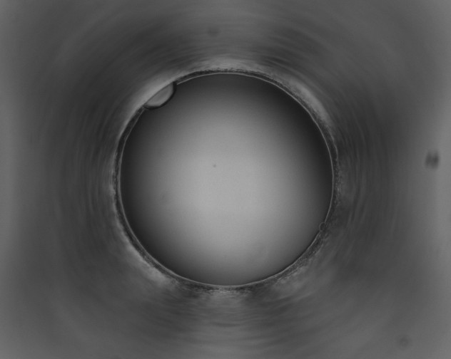 X0000090420847200707131207