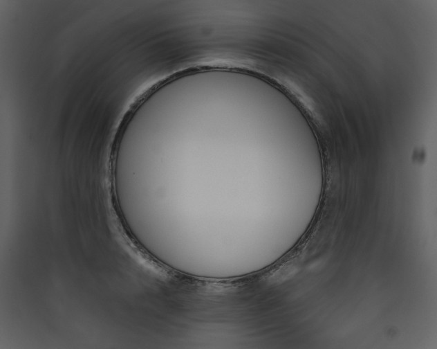 X0000090420848200707131207