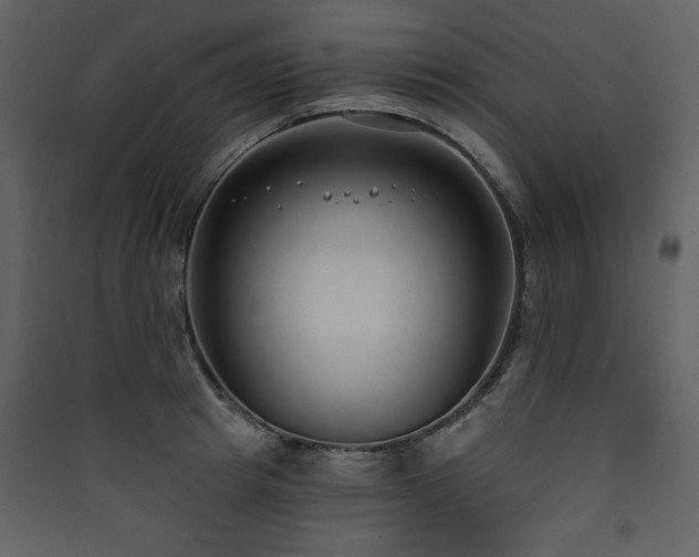 X0000090420849200707131207